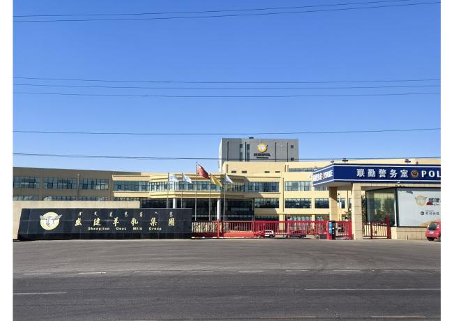 案例展示